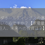 ヤマダホールディングスの適正株価はいくらですか？【家電量販の巨人、未来への投資は？】